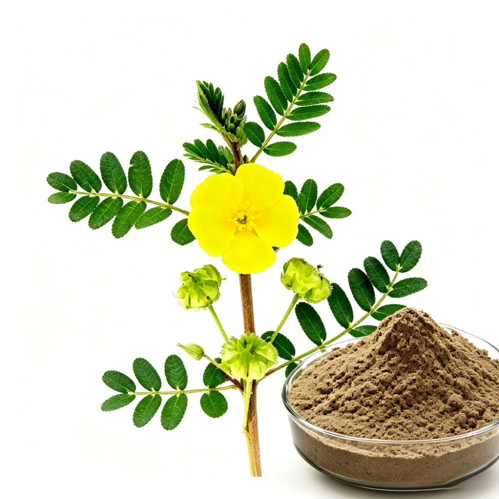 ingredient-img